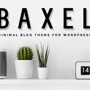 Baxel v5.0.7 Nulled – Minimal Blog Theme for WordPress